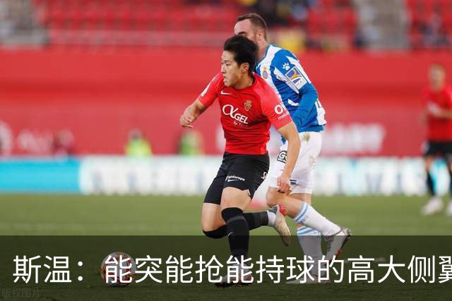 斯温：能突能抢能持球的高大侧翼 或是首轮末捡漏最佳选择？