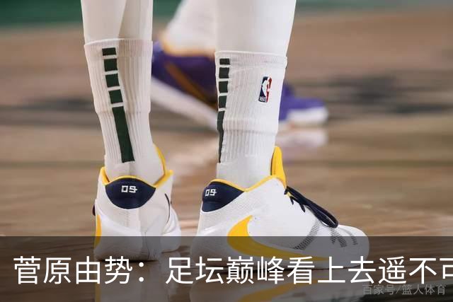 菅原由势：足坛巅峰看上去遥不可及，但如果不去追逐就永无法抵达